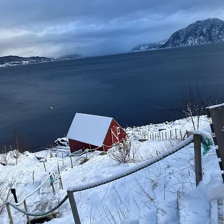 Hjelvikhytta - Flott Beliggenhet Ved Sjoen Hébergement de vacances Hjelvik
