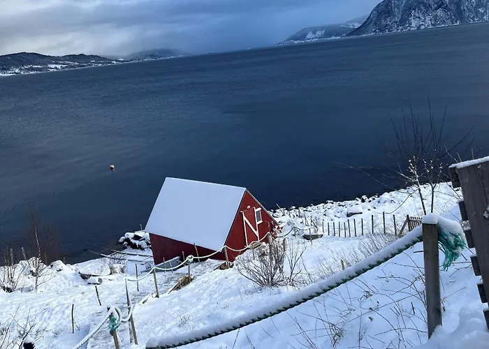 Hjelvikhytta - Flott Beliggenhet Ved Sjoen Ferienhaus Hjelvik